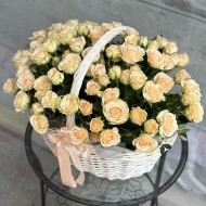 Скромный шик